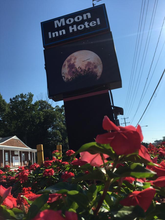 Moon Inn Hotel 알렉산드리아 외부 사진